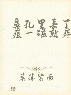 鼻孔里长了个痘痘一碰就疼怎么办