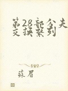 第28部分夫妇交换系列