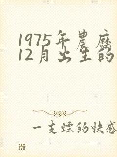 1975年农历12月出生的命运