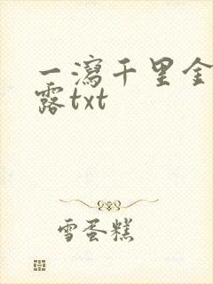 一泻千里金银花露txt封面