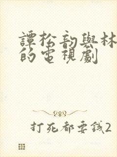 谭松韵与林更新的电视剧