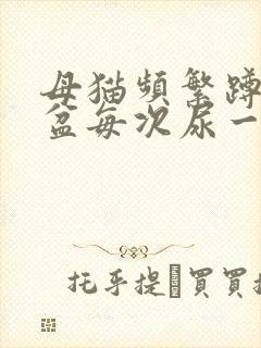 母猫频繁蹲猫砂盆每次尿一点