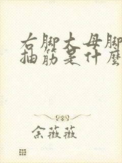 右脚大母脚趾头抽筋是什么原因