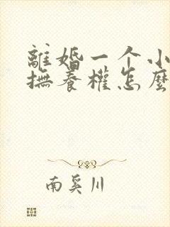 离婚一个小孩子抚养权怎么判定