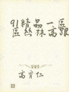 91精品一区二区丝袜高跟鞋