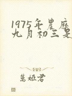1975年农历九月初三是什么命