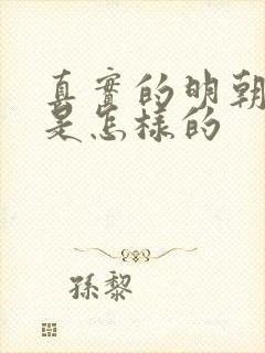 真实的明朝历史是怎样的