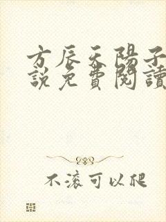 方辰天阳子的小说免费阅读