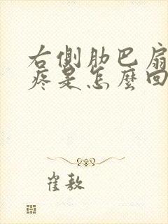 右侧肋巴扇下面疼是怎么回事