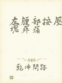 左腹部按压有硬块疼痛