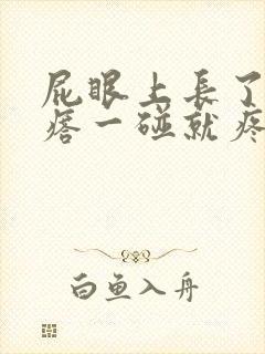 屁眼上长了个疙瘩一碰就疼