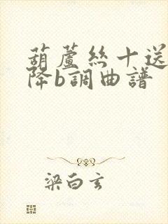 葫芦丝十送红军降b调曲谱封面