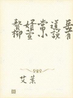 赘婿当道岳风,柳萱小说有声小说封面