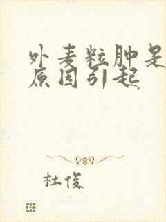 外麦粒肿是什么原因引起