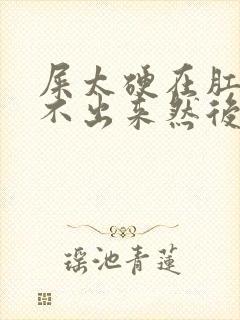 屎太硬在肛门拉不出来然后还出血