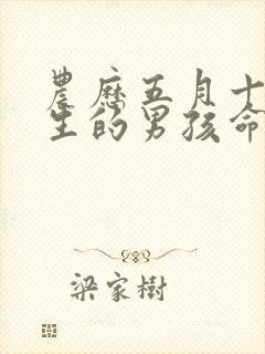 农历五月十五出生的男孩命运如何?