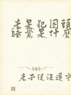 老是犯困头晕想睡觉是什么原因