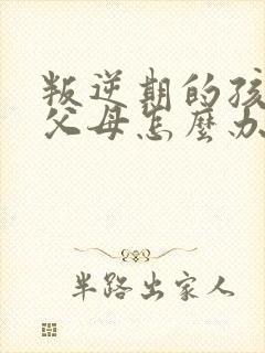 叛逆期的孩子骂父母怎么办