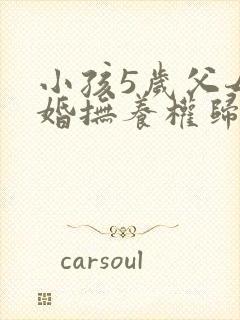 小孩5岁父母离婚抚养权归谁封面