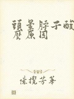 头晕脖子酸痛什么原因