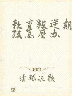 教育叛逆期的男孩怎么办