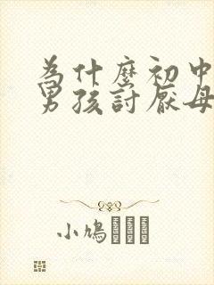 为什么初中叛逆男孩讨厌母亲封面