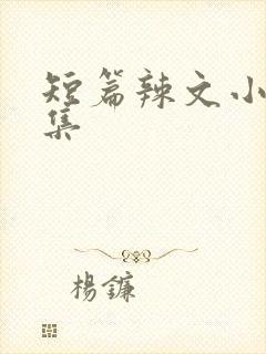 短篇辣文小说合集封面