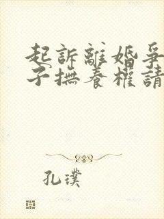 起诉离婚争取孩子抚养权请律师费用多少钱