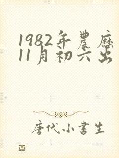 1982年农历11月初六出生的人命运