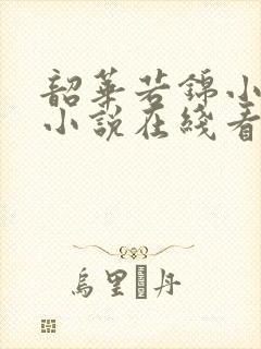 韶华若锦小豆蔻小说在线看