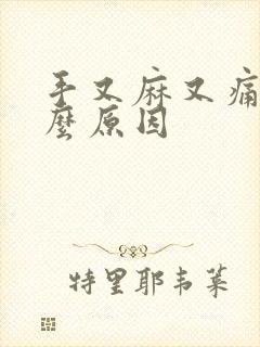 手又麻又痛是什么原因