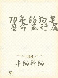 70年的狗是什么命五行属什么缺什么