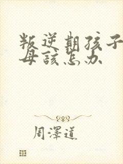 叛逆期孩子骂父母该怎办