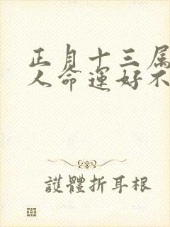 正月十三属马的人命运好不好