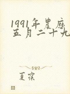 1991年农历五月二十九命运封面