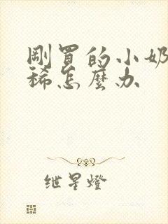 刚买的小奶狗拉稀怎么办