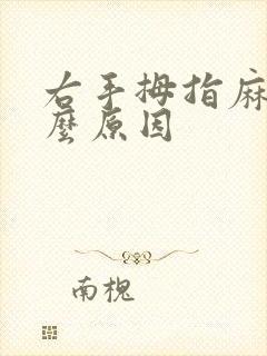 右手拇指麻木什么原因