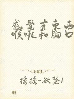 感觉有东西堵在喉咙和胸口