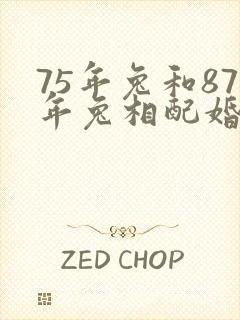 75年兔和87年兔相配婚姻会幸福吗