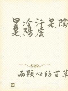 冒冷汗是阴虚还是阳虚封面