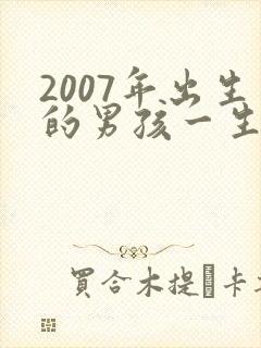 2007年出生的男孩一生的命运封面