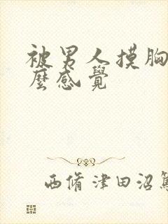 被男人摸胸是什么感觉