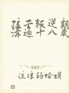 孩子叛逆期如何沟通十八岁的男孩儿