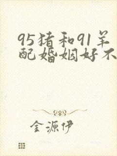 95猪和91羊配婚姻好不好