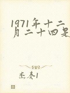 1971年十二月二十四是什么命