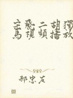 宋飞二胡独奏赛马视频播放全部封面