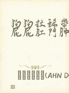 狗狗拉稀带血 屁屁肛门肿