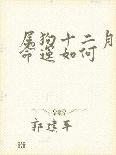 属狗十二月生人命运如何