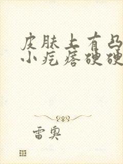 皮肤上有凸起的小疙瘩硬硬的