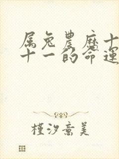 属兔农历十一月十一的命运封面